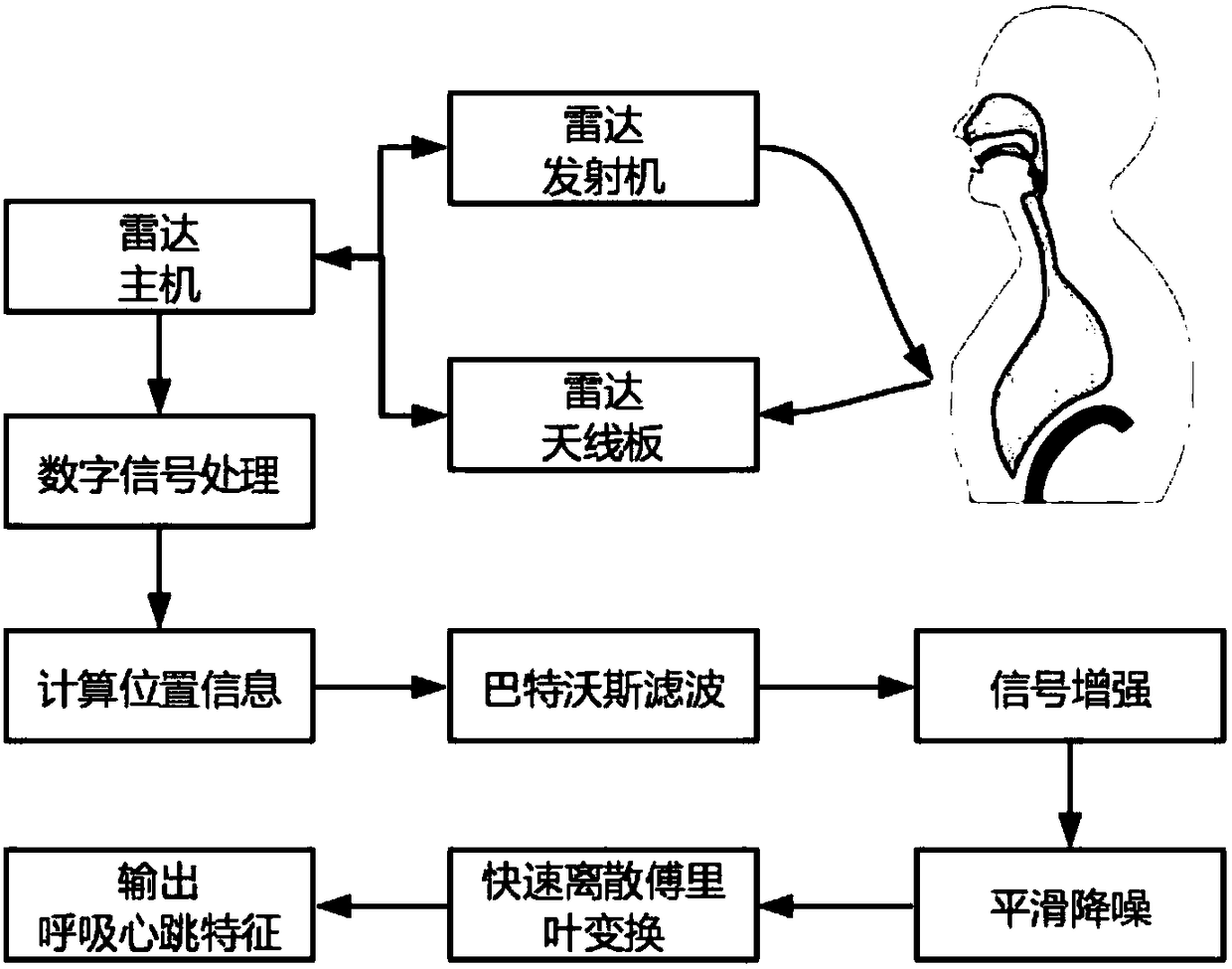 Method for measuring respiratory rate and heart rate of human body based on ultra-wideband radar