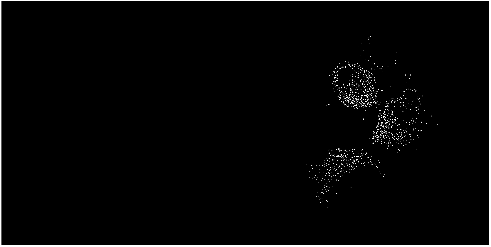 Application of water-soluble carbon nano-grade material