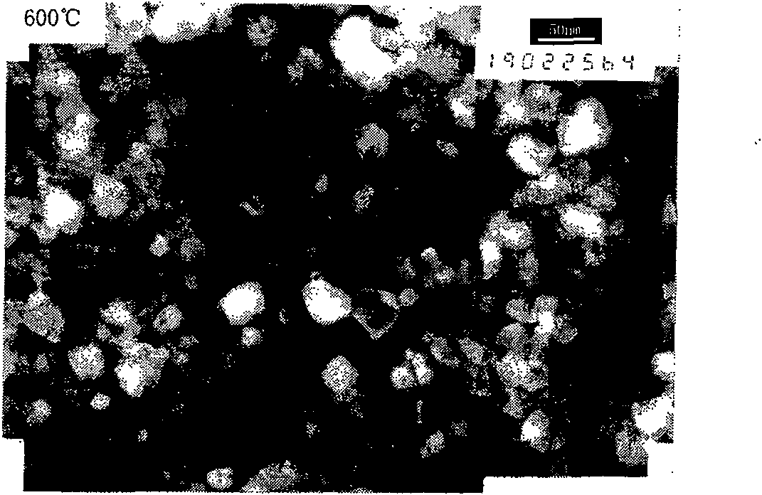 Method for producing interpose porus titanium dioxide photocatalyst by hydro-thermal method in weak acid condition