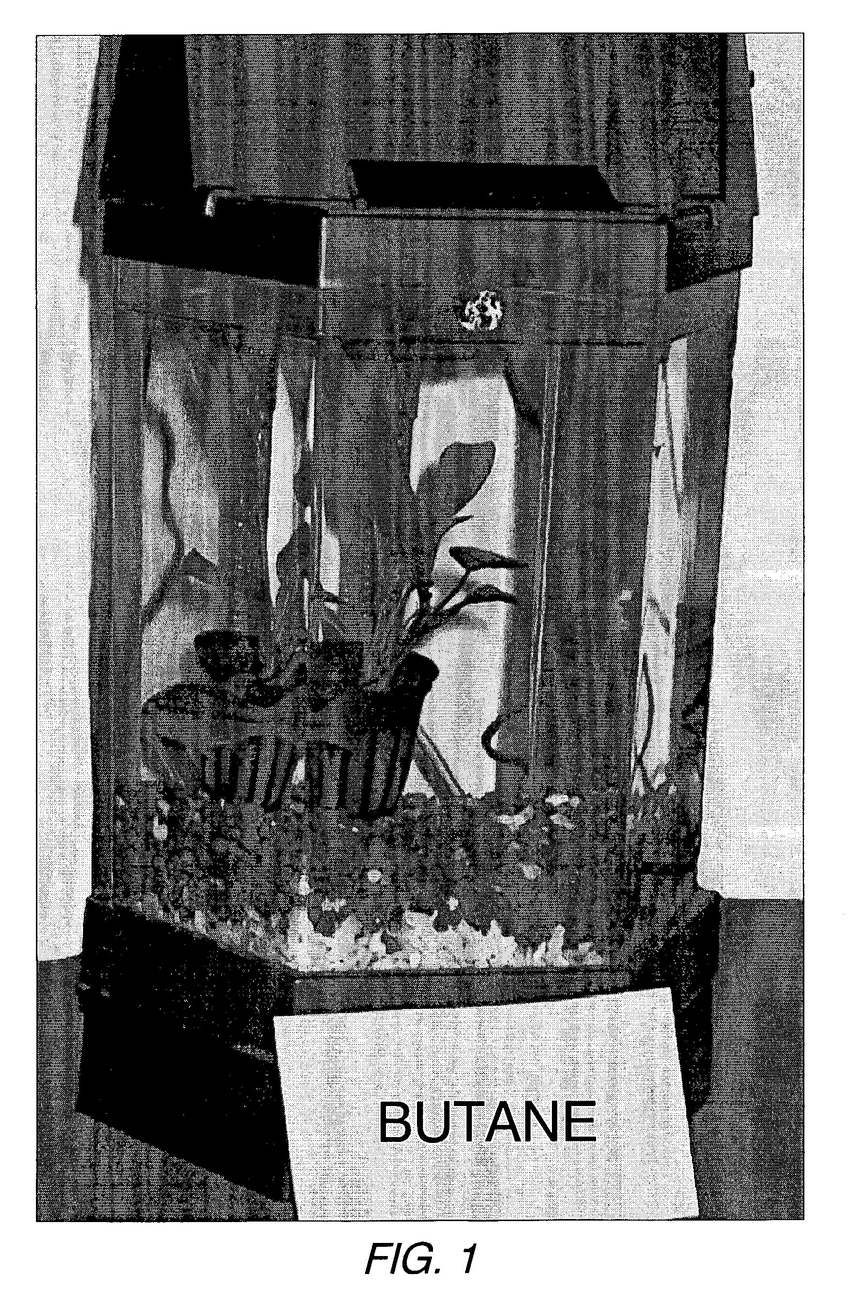 Method and apparatus for butane-enhanced aquatic plant and animal growth