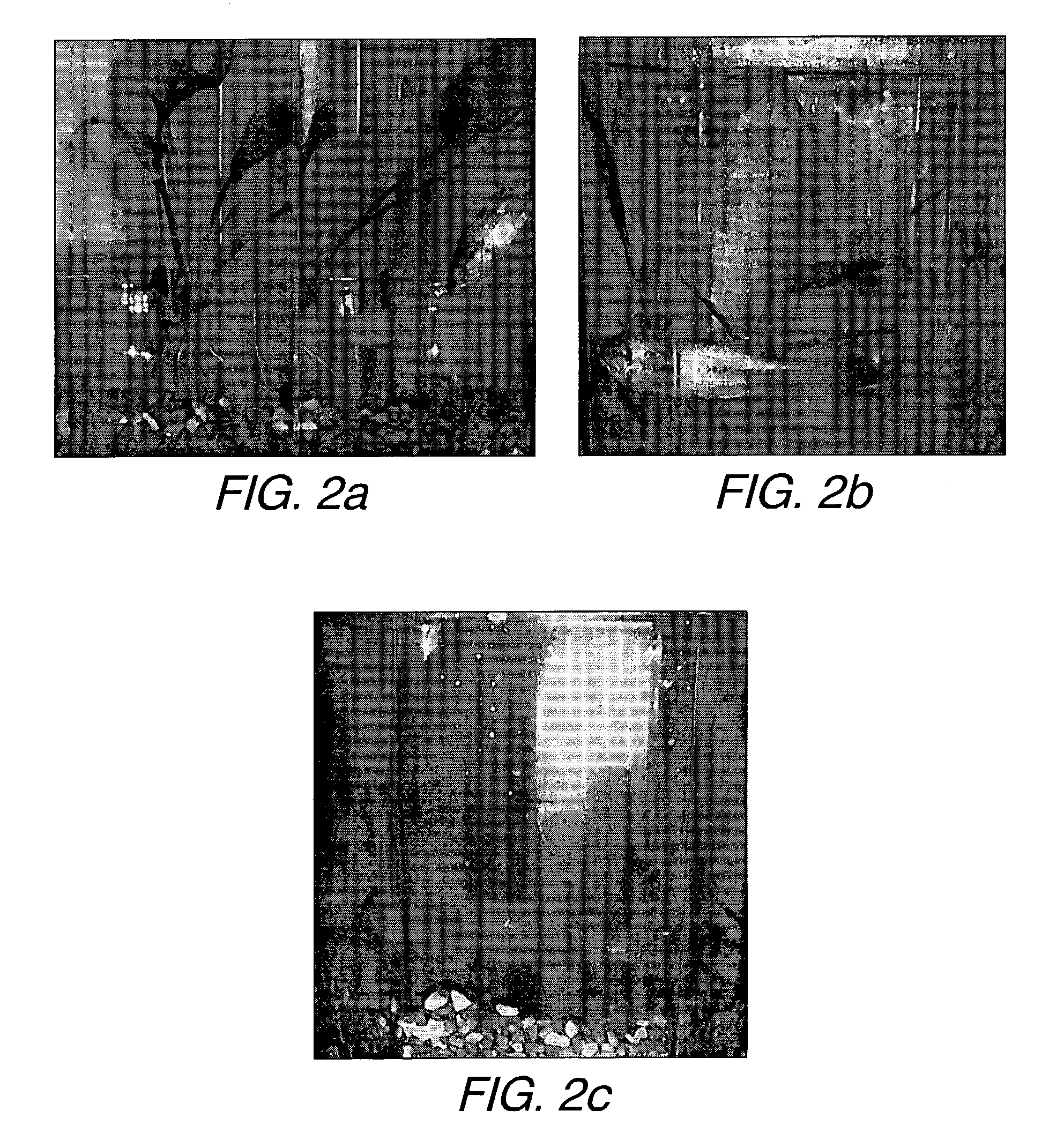 Method and apparatus for butane-enhanced aquatic plant and animal growth