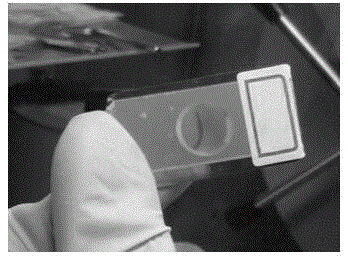 Method for preparing synchrotron-radiation X-ray absorption fine-structure test sample of hydrogen storage material