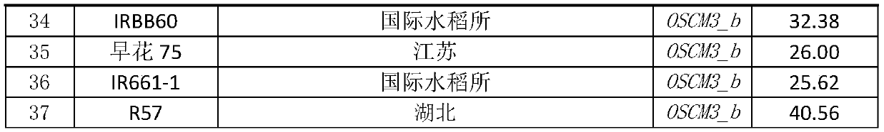 Nucleotide sequence of chorismate mutase related to rice high yield and its application