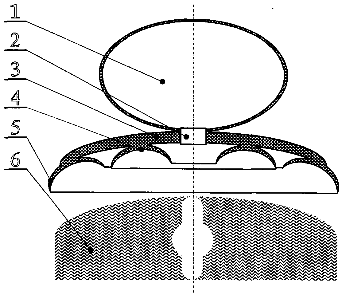 Contraceptive method based on penis suction