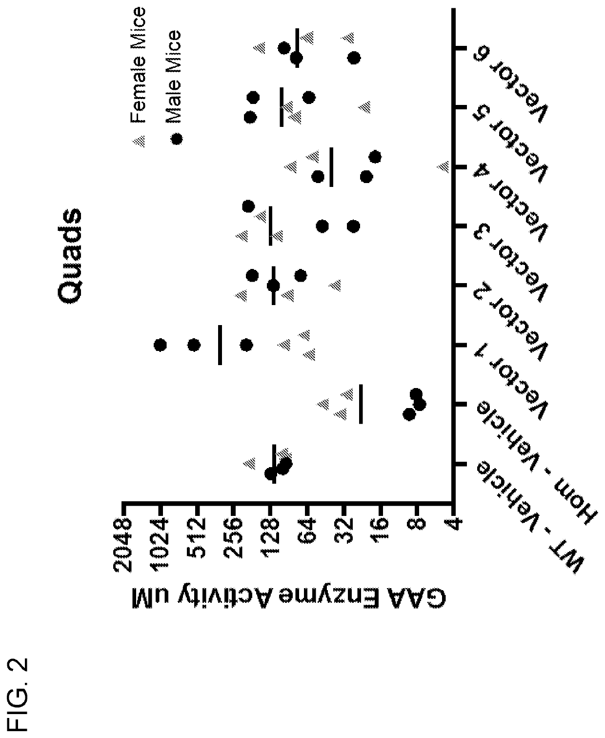 Transcription regulatory elements and uses thereof