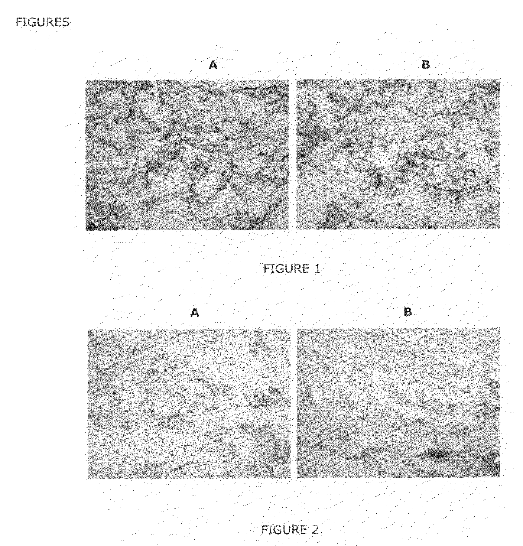 Method for Cell Implantation