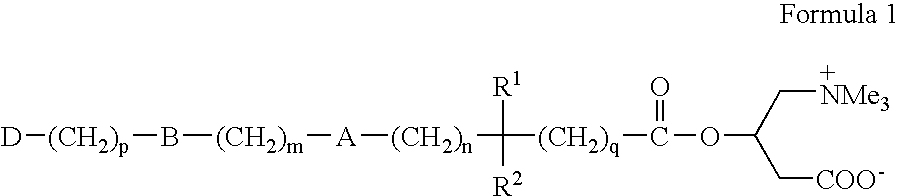 Novel carnitine conjugates as dual prodrugs and uses thereof