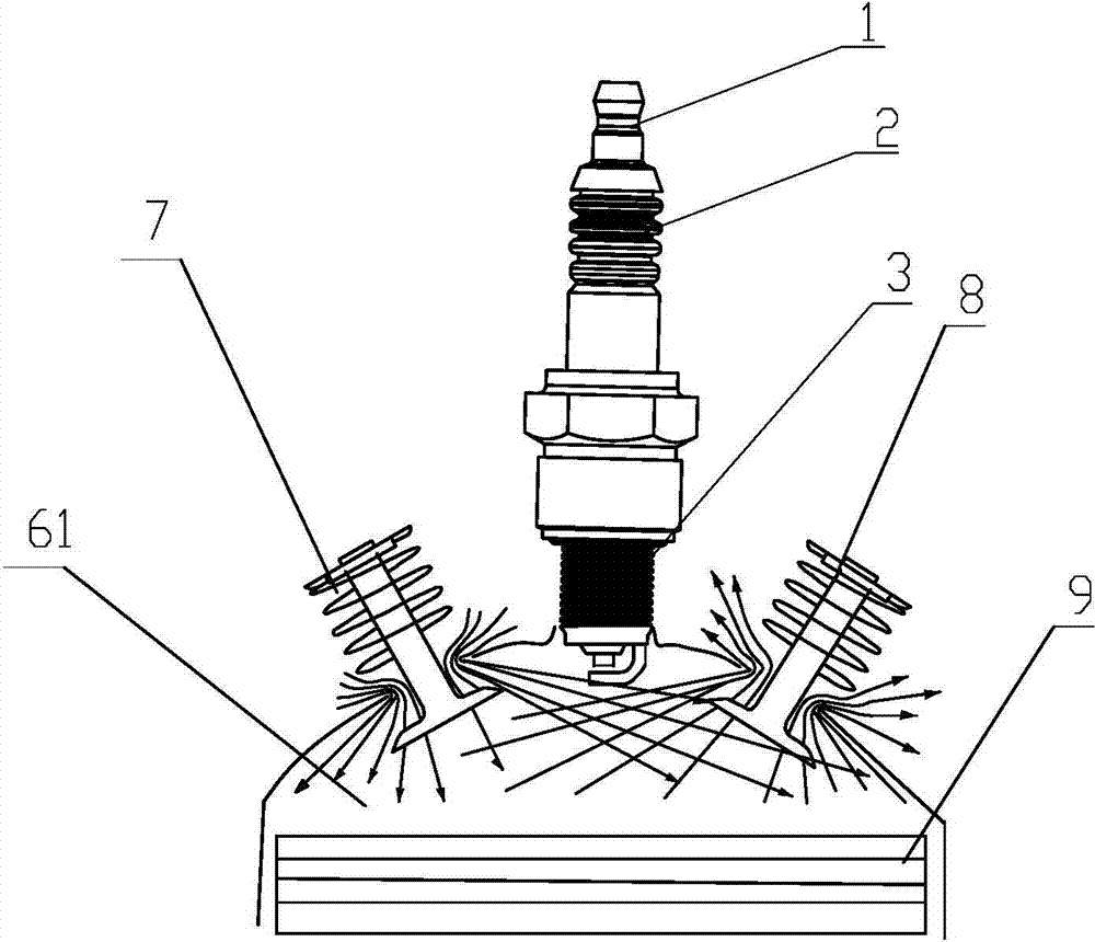 Sparking plug of gasoline engine