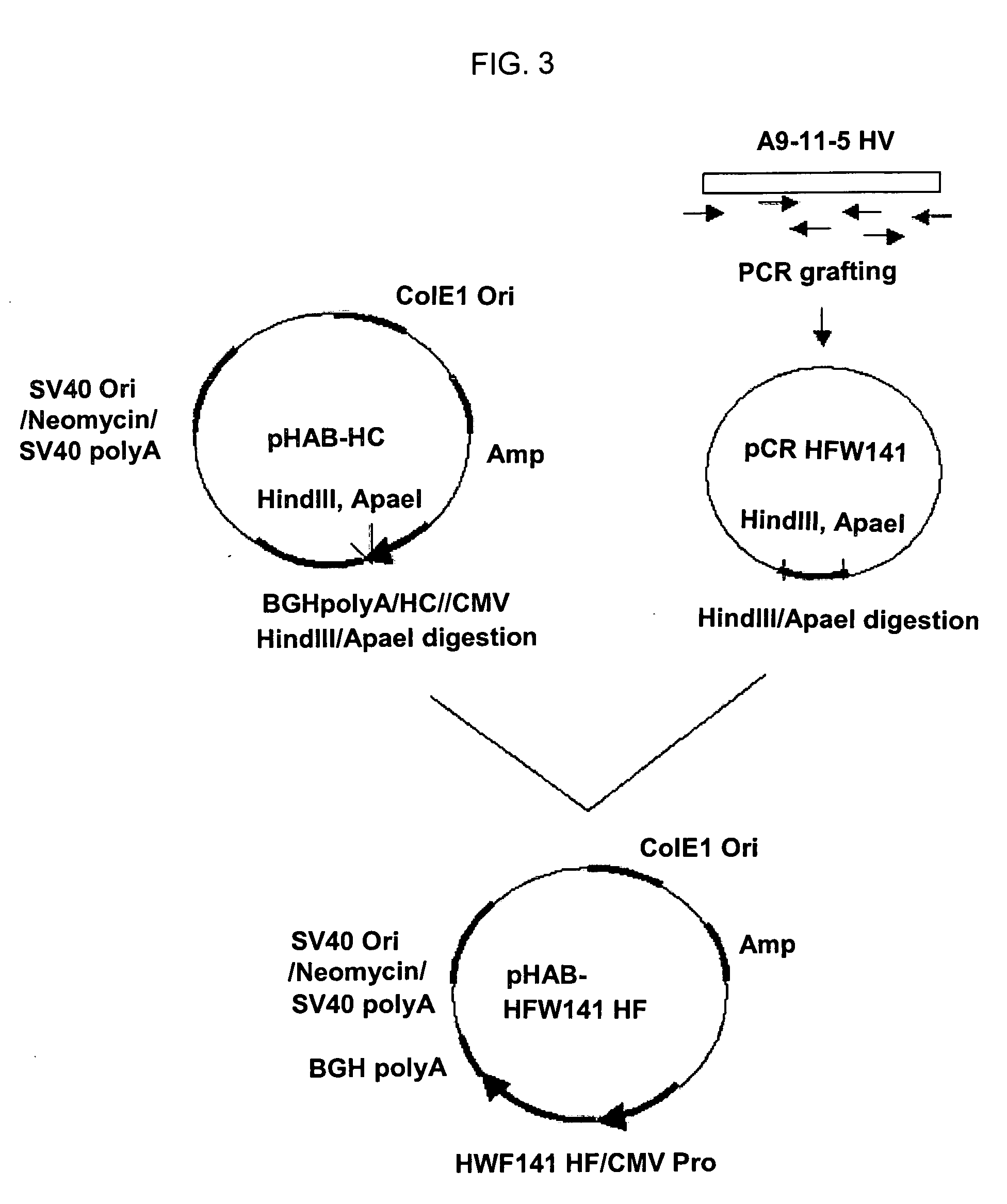 Humanized antibody against S-surface antigen of hepatitis B virus