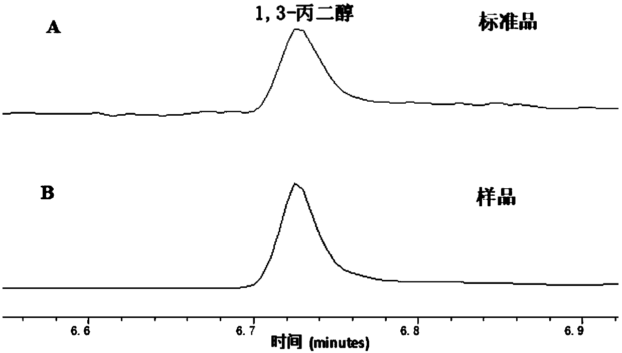 Method for producing 1,3-propanediol by using methanol/formaldehyde and glucose as common substrates