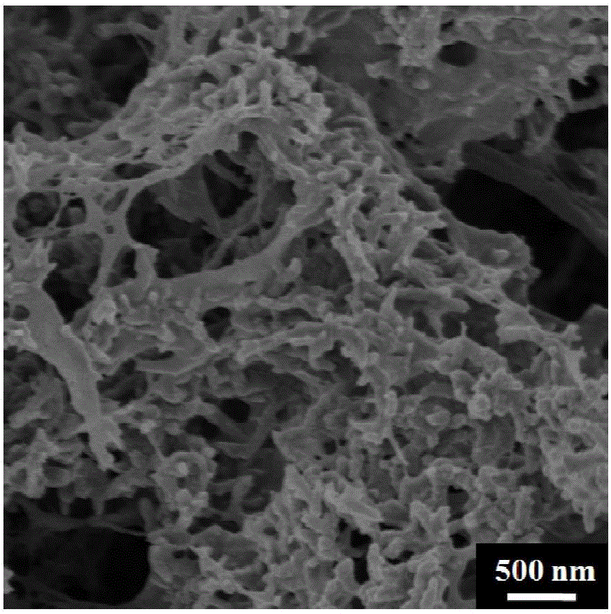 Preparation method of flexible polyaniline conductive composite hydrogel material