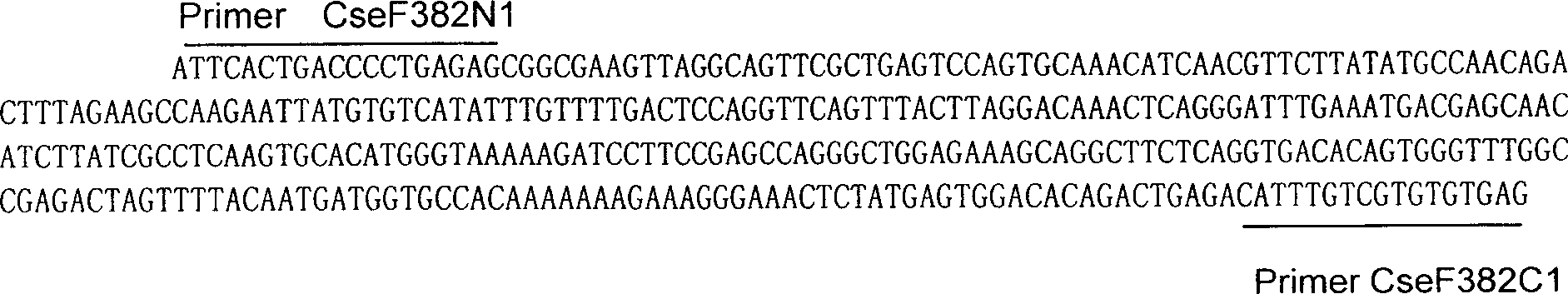 Female-specific AFLP fragment of Cynoglossus semilaevis Gunther and PCR method for identification of genetic sex