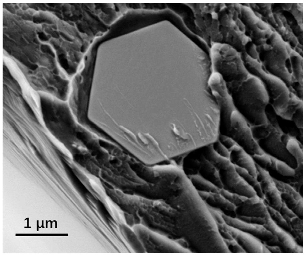 A kind of nanoporous metal powder and preparation method thereof