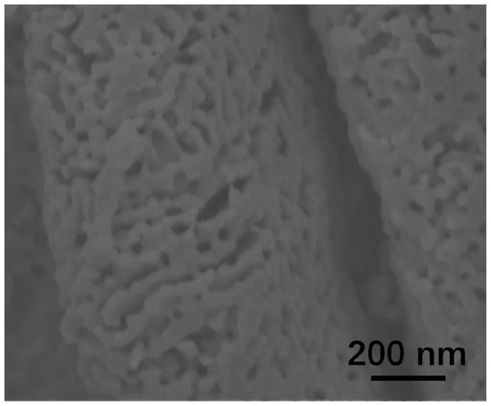 A kind of nanoporous metal powder and preparation method thereof