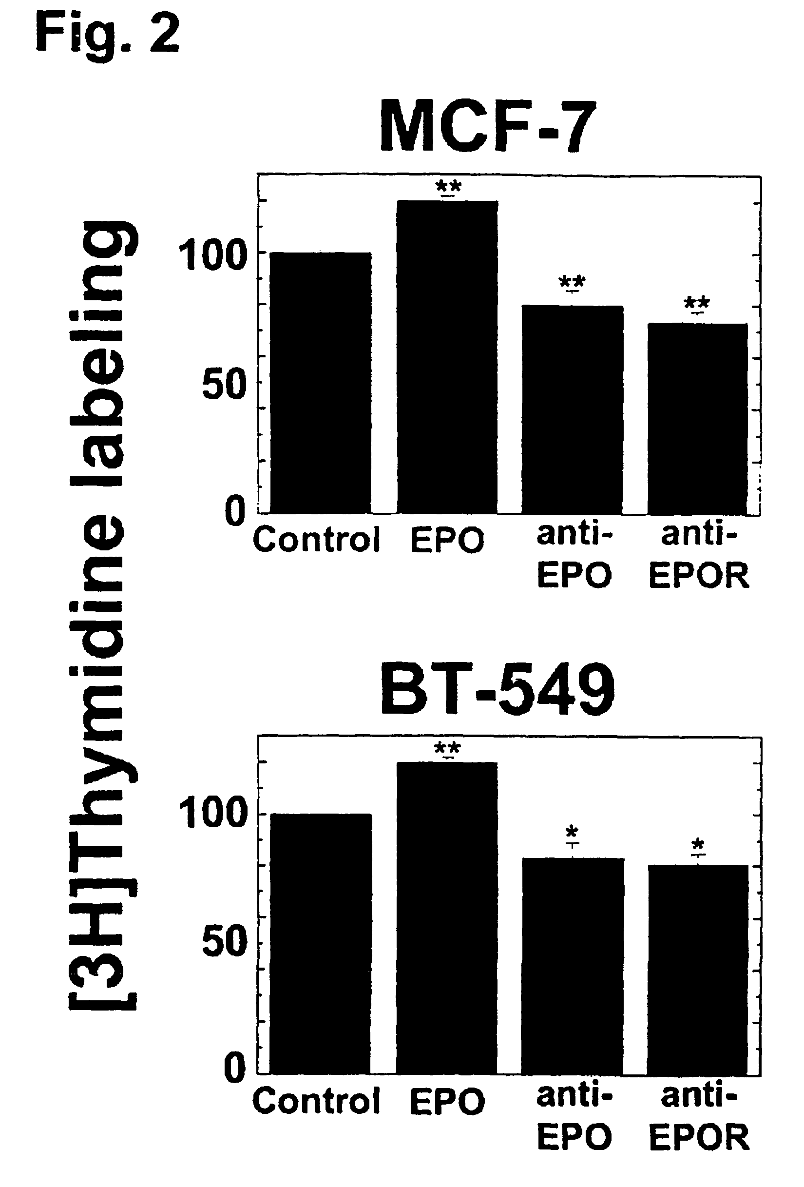 Erythropoietin and erythropoietin receptor expression in human cancer