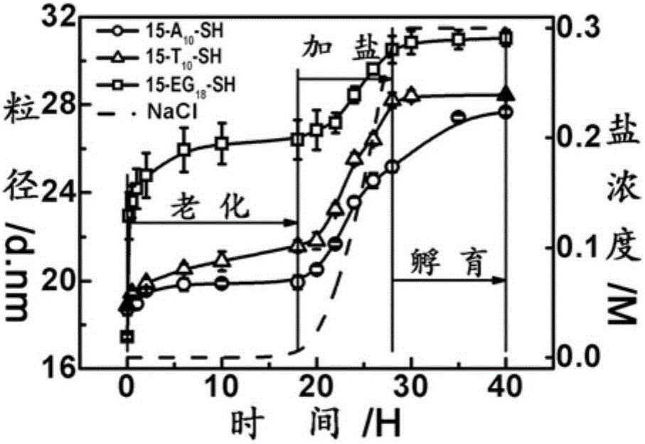 Method for rapidly preparing thiol-modified DNA nanometer gold complex (DNA-AuNP)