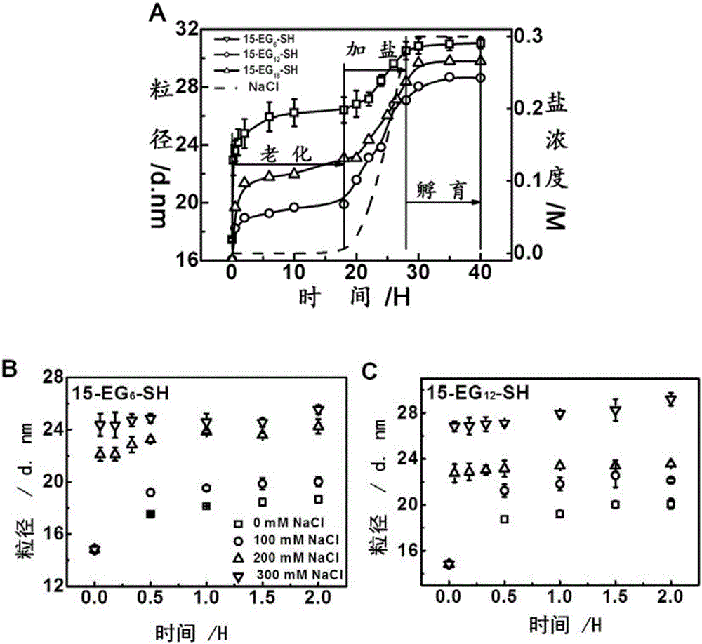 Method for rapidly preparing thiol-modified DNA nanometer gold complex (DNA-AuNP)