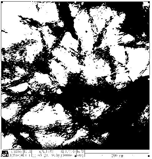 Micro-nano cellulose and preparation method thereof