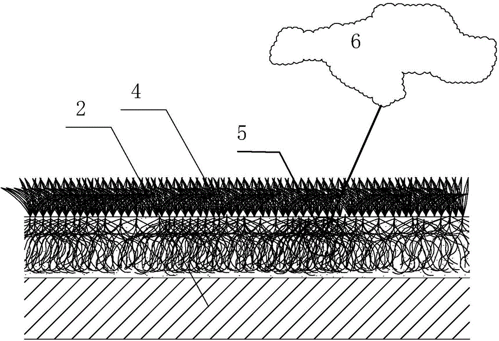 An anti-aging nutrient substrate composition and coating for plant growth