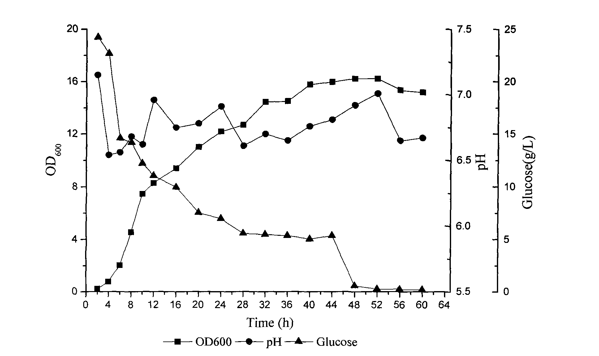 Phosphorus-dissolving pseudomonas putida L13 and fermentation process thereof