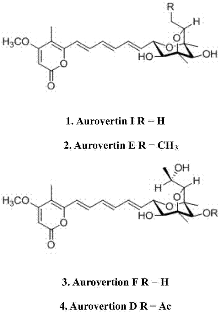 A Strain of Chlamydocetes sp. sp. and its Screening and Application