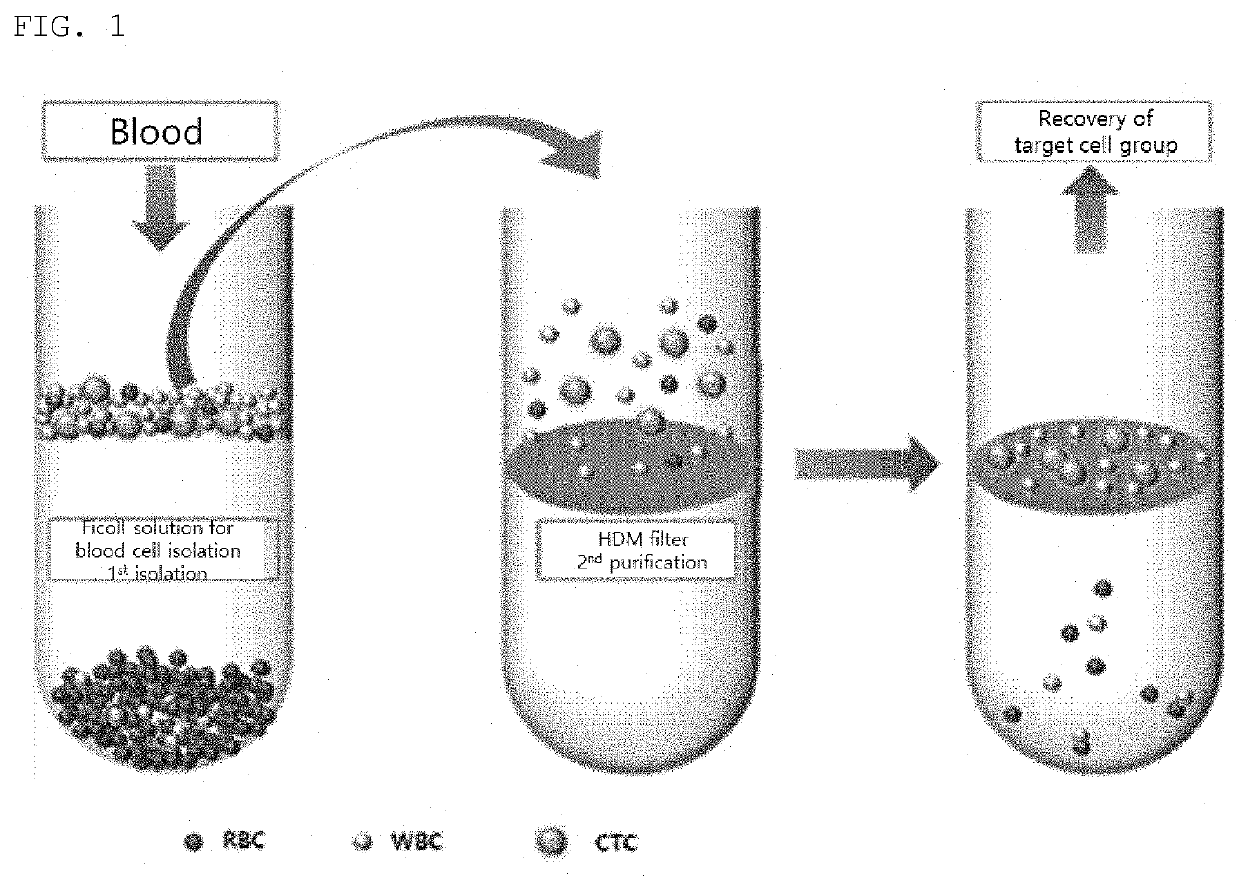 Eml4-alk gene mutation analysis method