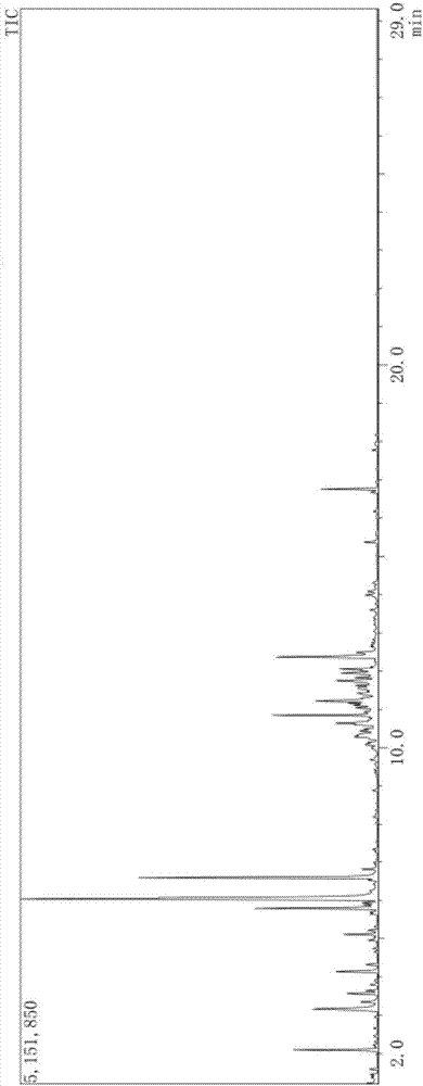 Detection method for real-time continuous monitoring of release of volatile organic compounds in plastic runway and application of detection method