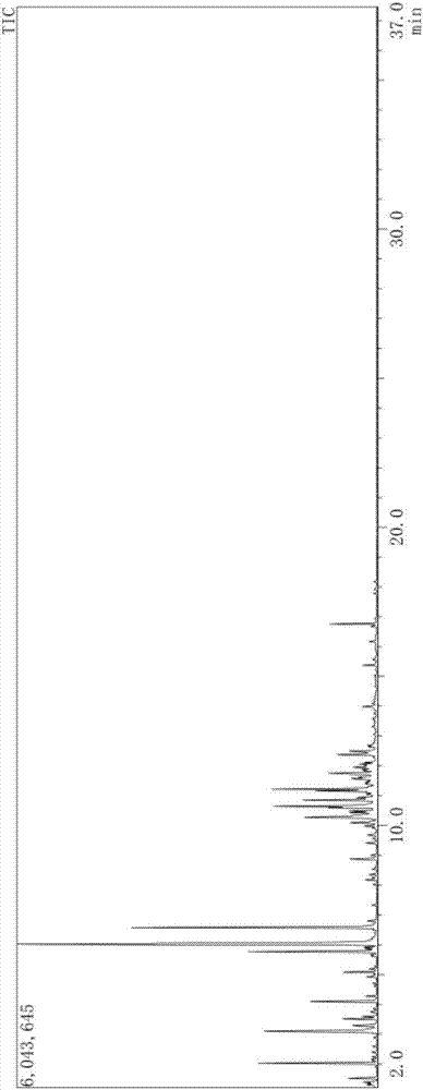 Detection method for real-time continuous monitoring of release of volatile organic compounds in plastic runway and application of detection method