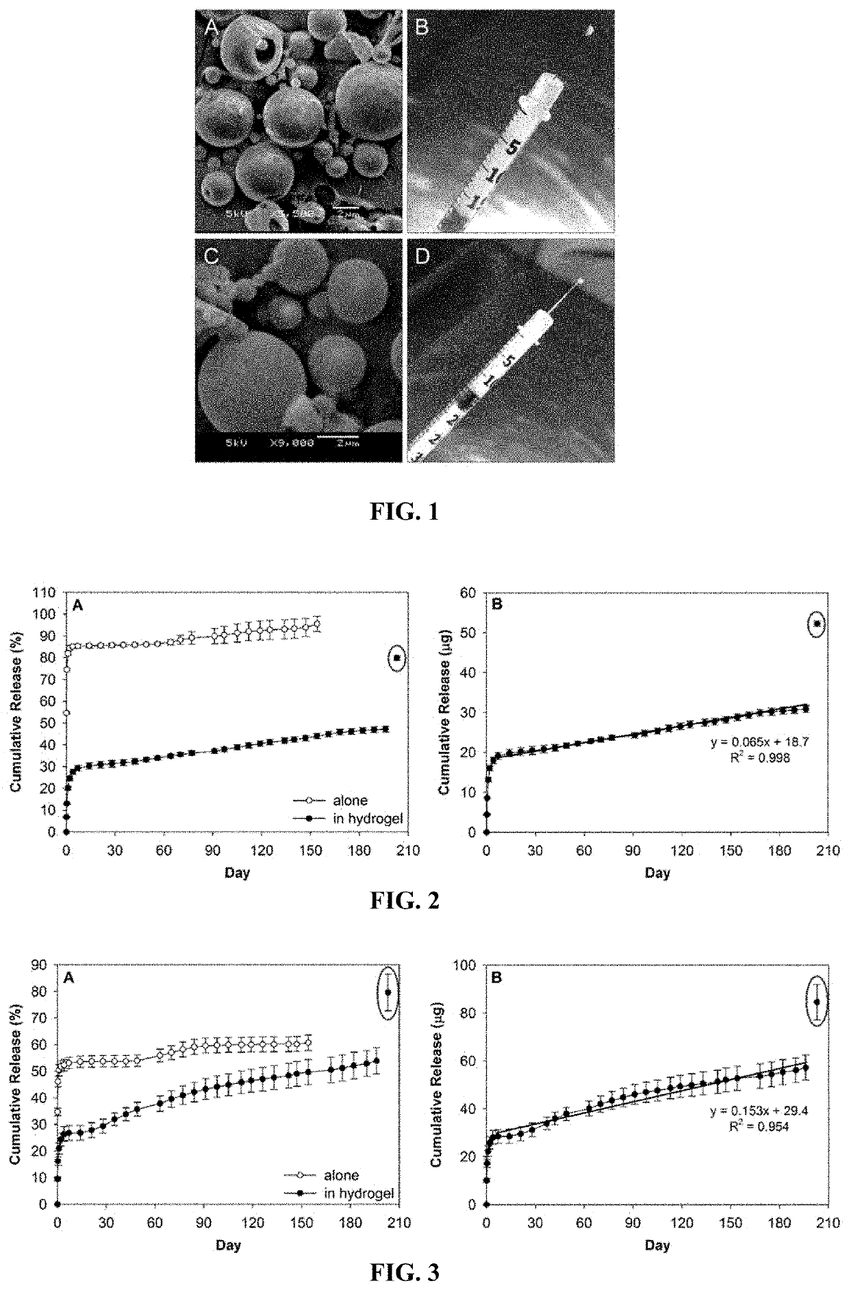 Biodegradable extended release microsphere-hydrogel ocular drug delivery system and method