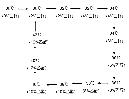 Domestication method for high temperature-resistant ethanol-tolerant aroma-producing yeast