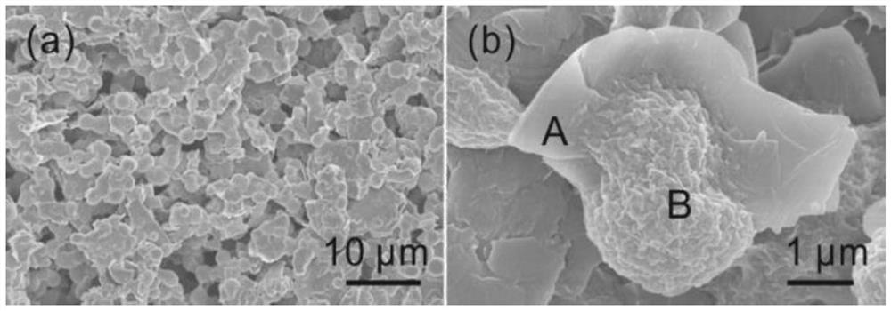 A wearable flexible temperature sensor for monitoring human body temperature and its preparation method