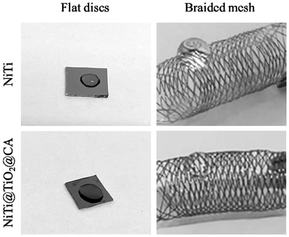 Anticoagulant dense net stent and preparation method thereof