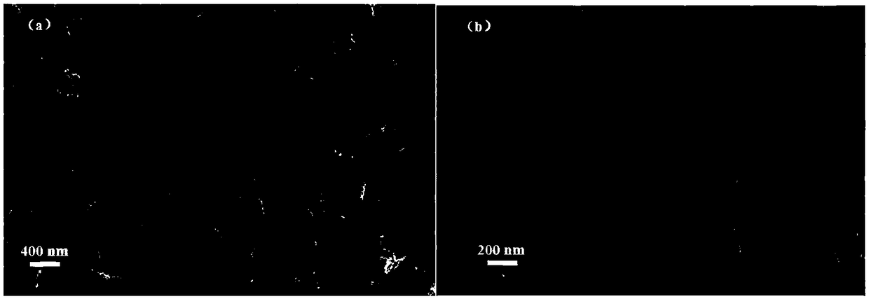 Novel ZnO nano material and preparation method thereof