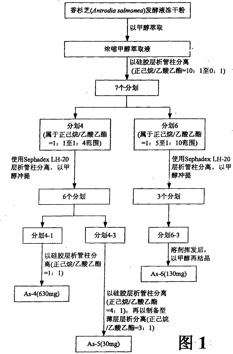 Medicinal composition for inhibiting angiogenesis and application thereof