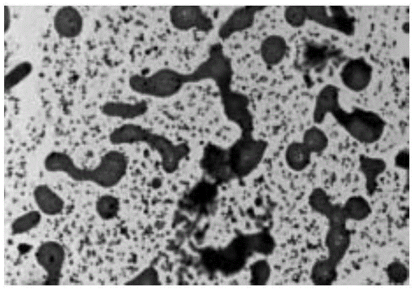 Application of ruthenium complex serving as nucleic acid vector of target cell nucleus