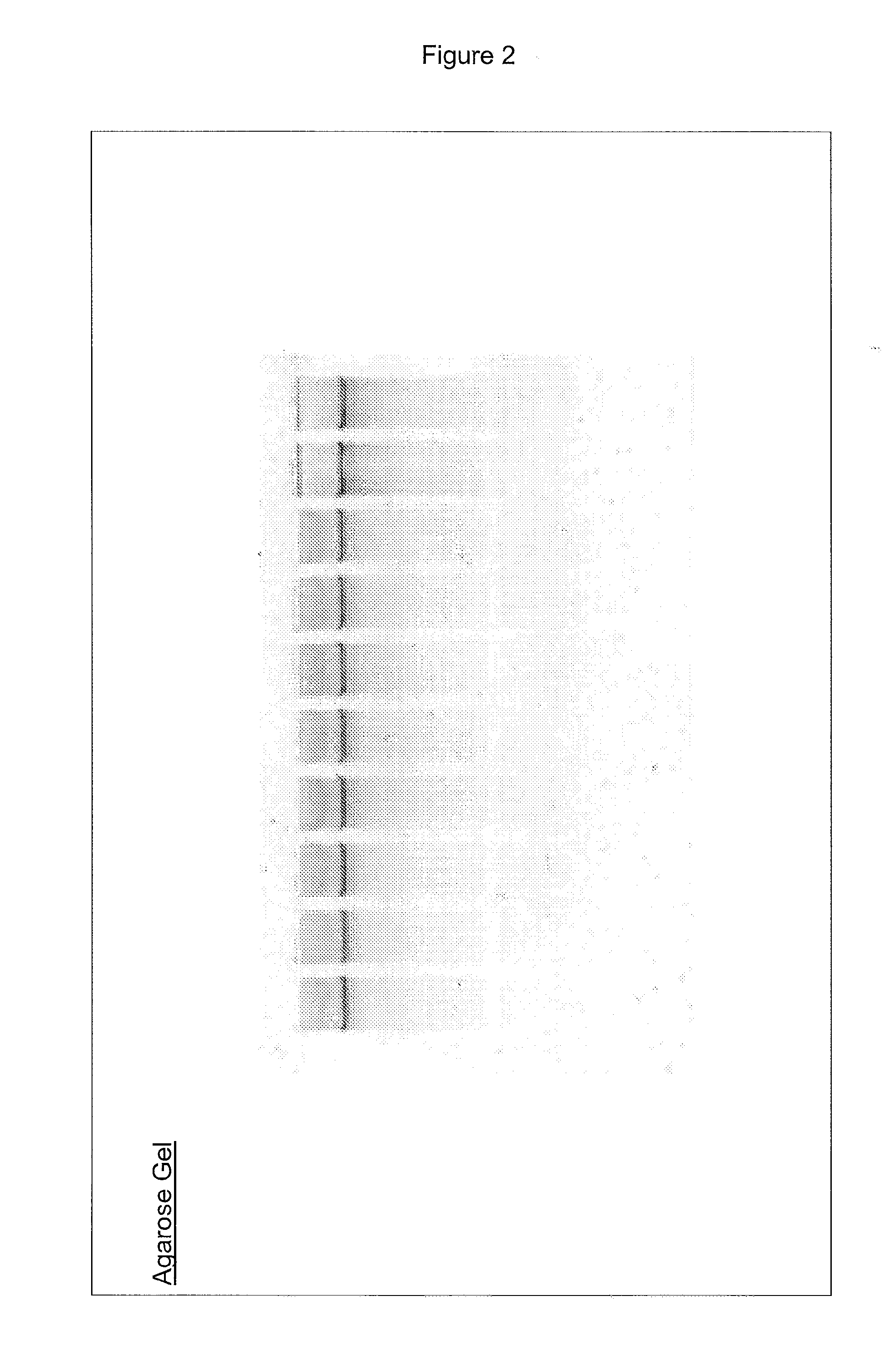 Nucleic acid purification method