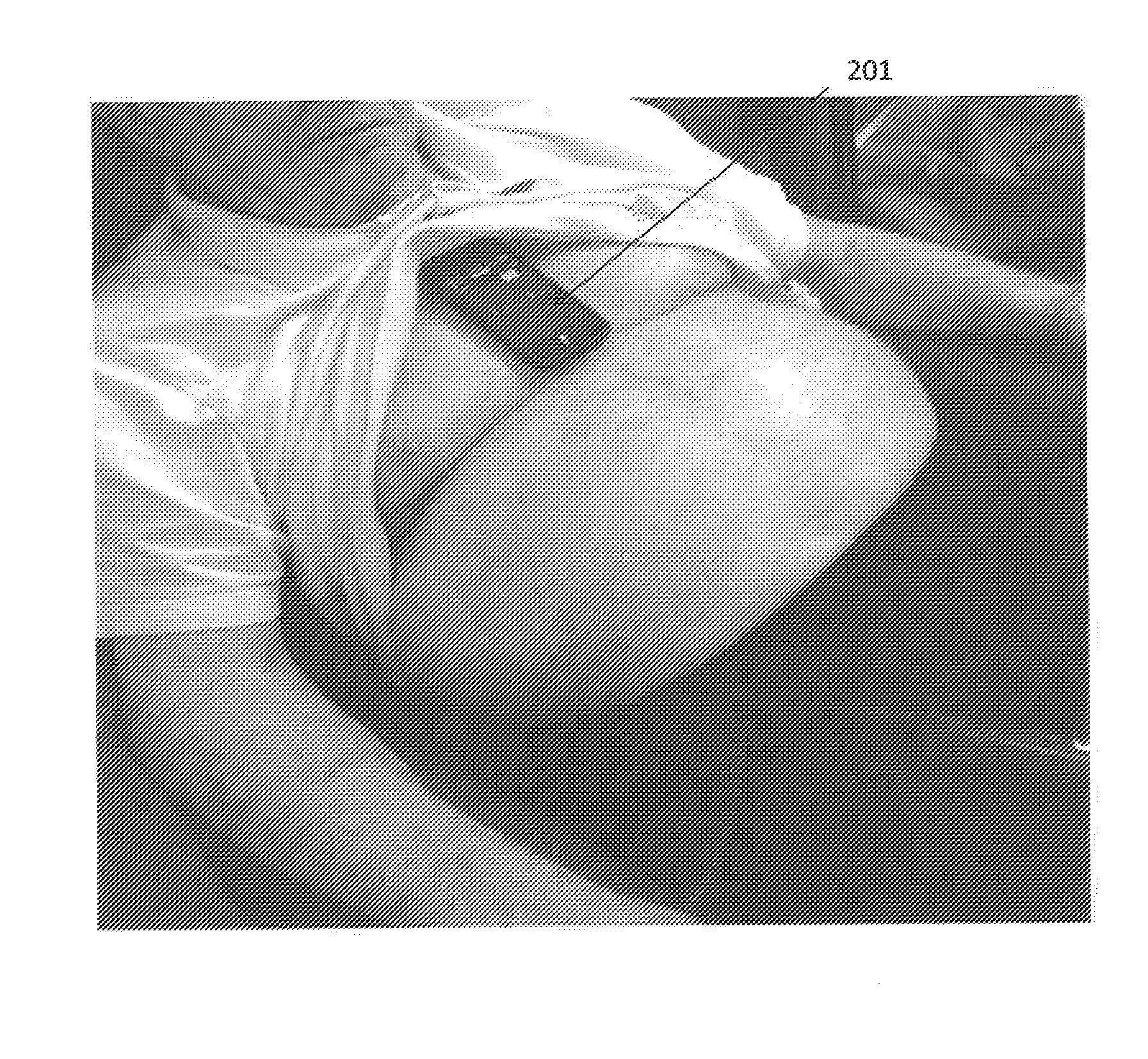 Cardiac performance monitoring system for use with mobile communications devices