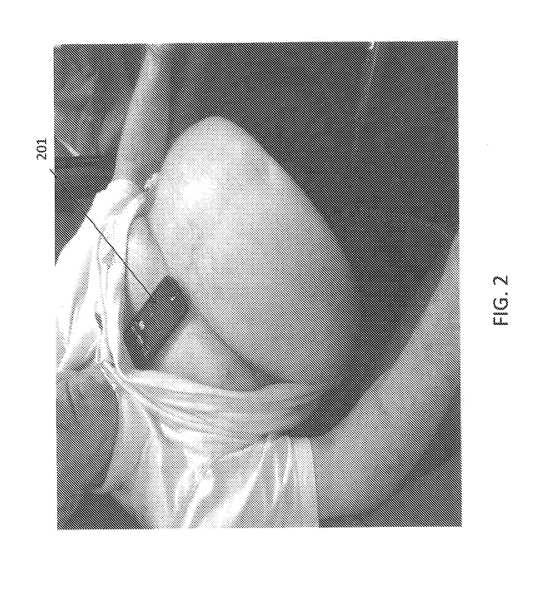 Cardiac performance monitoring system for use with mobile communications devices