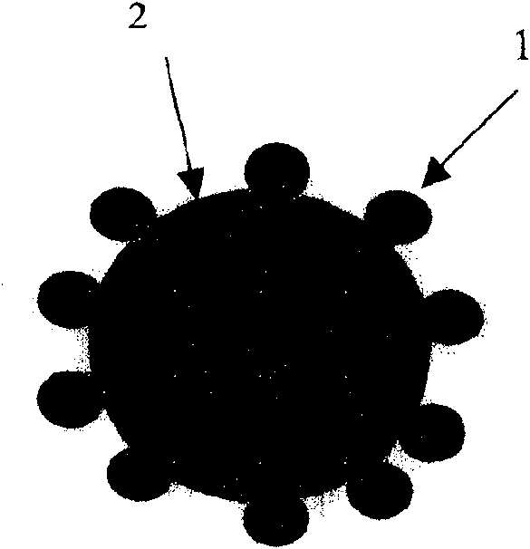 Proton high polymer modified fuel cell catalyst using carbon as carrier and its preparation