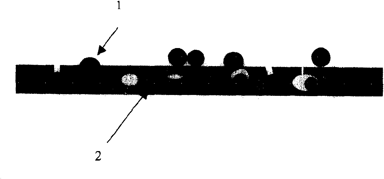 Proton high polymer modified fuel cell catalyst using carbon as carrier and its preparation