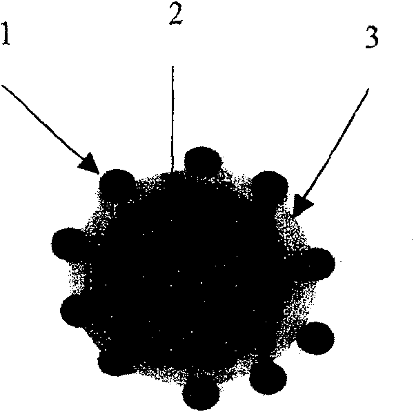 Proton high polymer modified fuel cell catalyst using carbon as carrier and its preparation