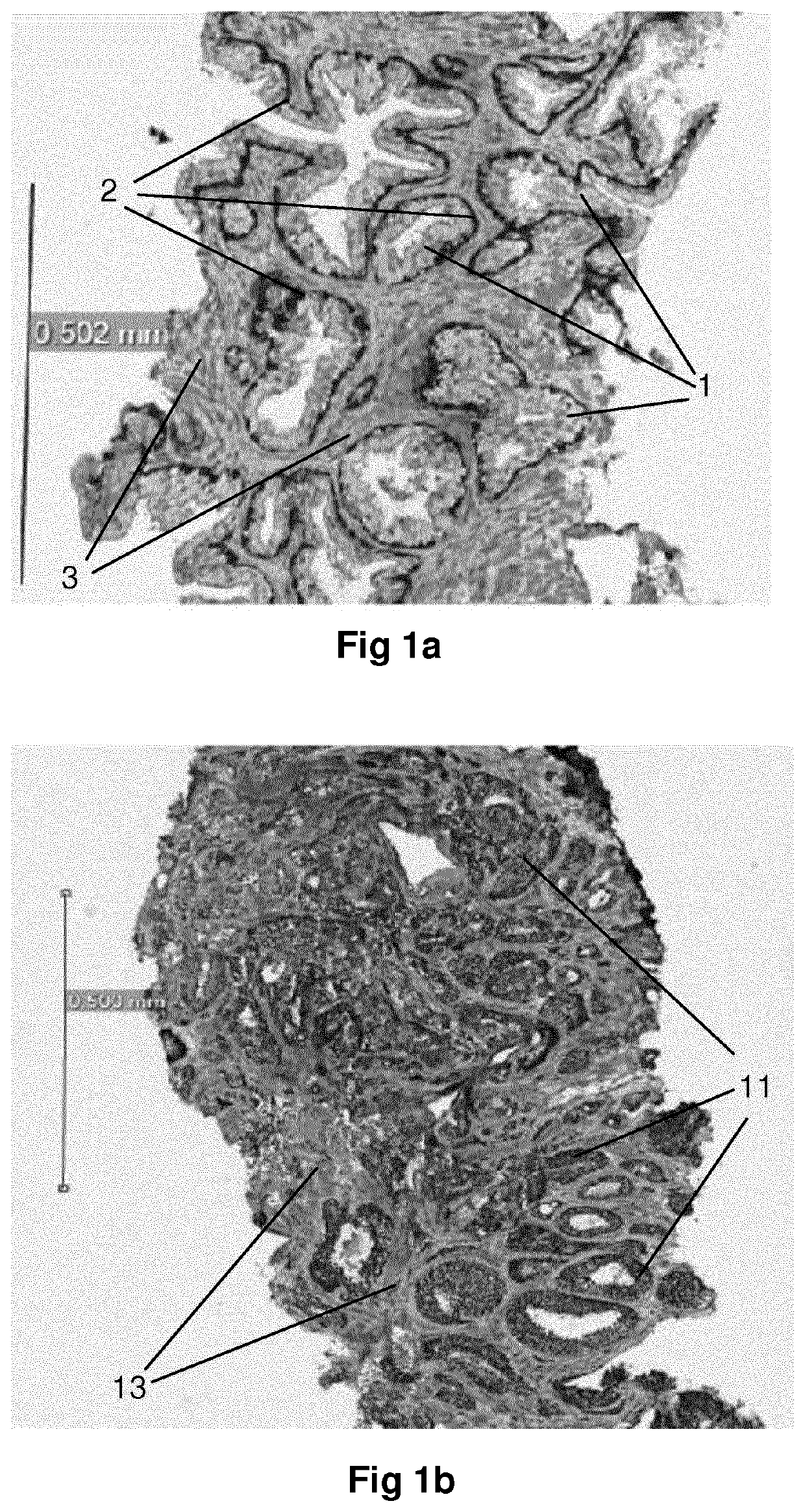 Method for identification of different categories of biopsy sample images