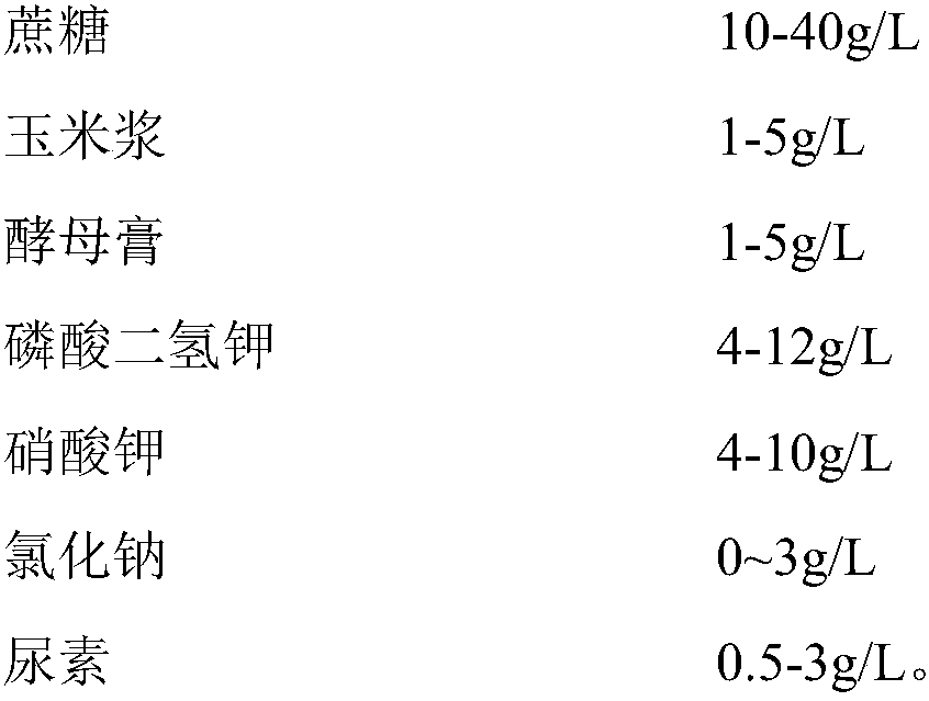 Strain for producing long-chain diacid and application thereof