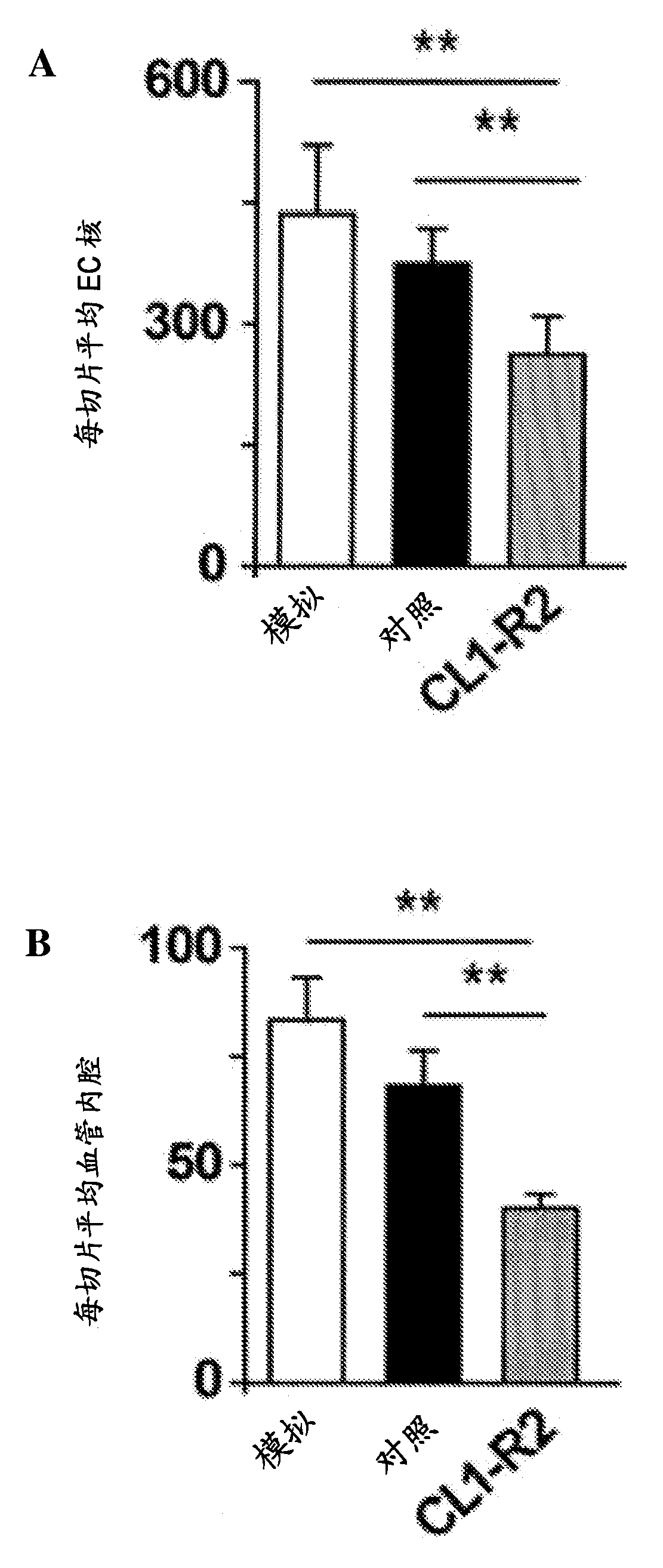 Anti-cd160 specific antibodies for the treatment of eye disorders based on neoangiogenesis