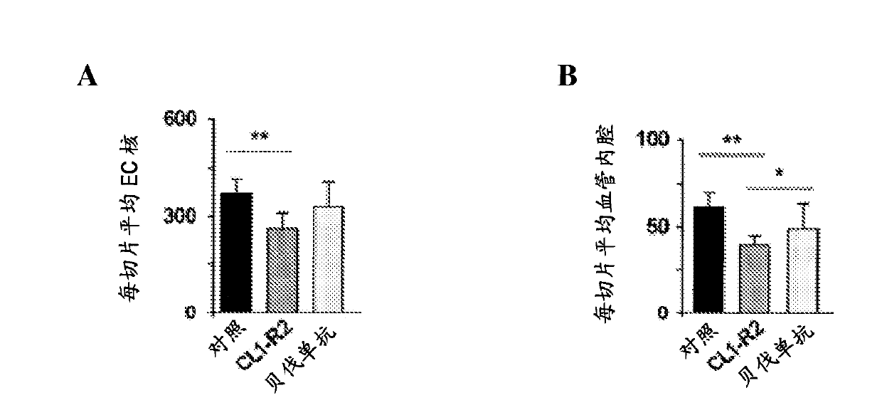 Anti-cd160 specific antibodies for the treatment of eye disorders based on neoangiogenesis