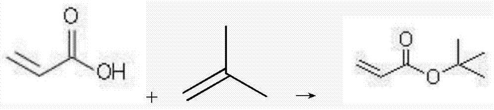 Method used for catalyzed synthesis of tert-butyl acrylate