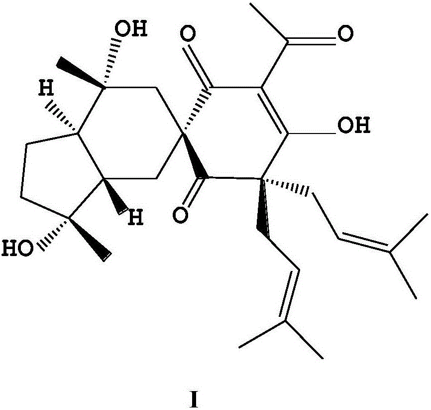 Application of composition of O-(lignocaine) ethyl derivative and O-(piperazinyl) ethyl derivative of Harrisotone A in antibacterial agents