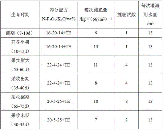 Cherry tomato soilless cultivation method