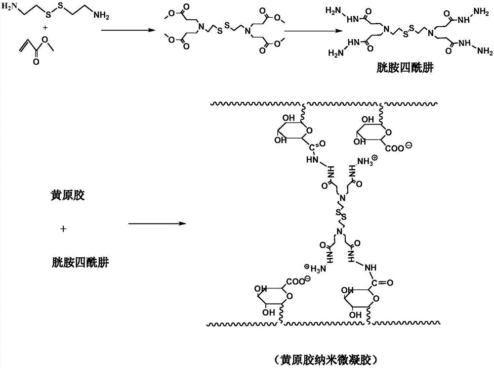 Preparation method of xanthan gum nano microgel