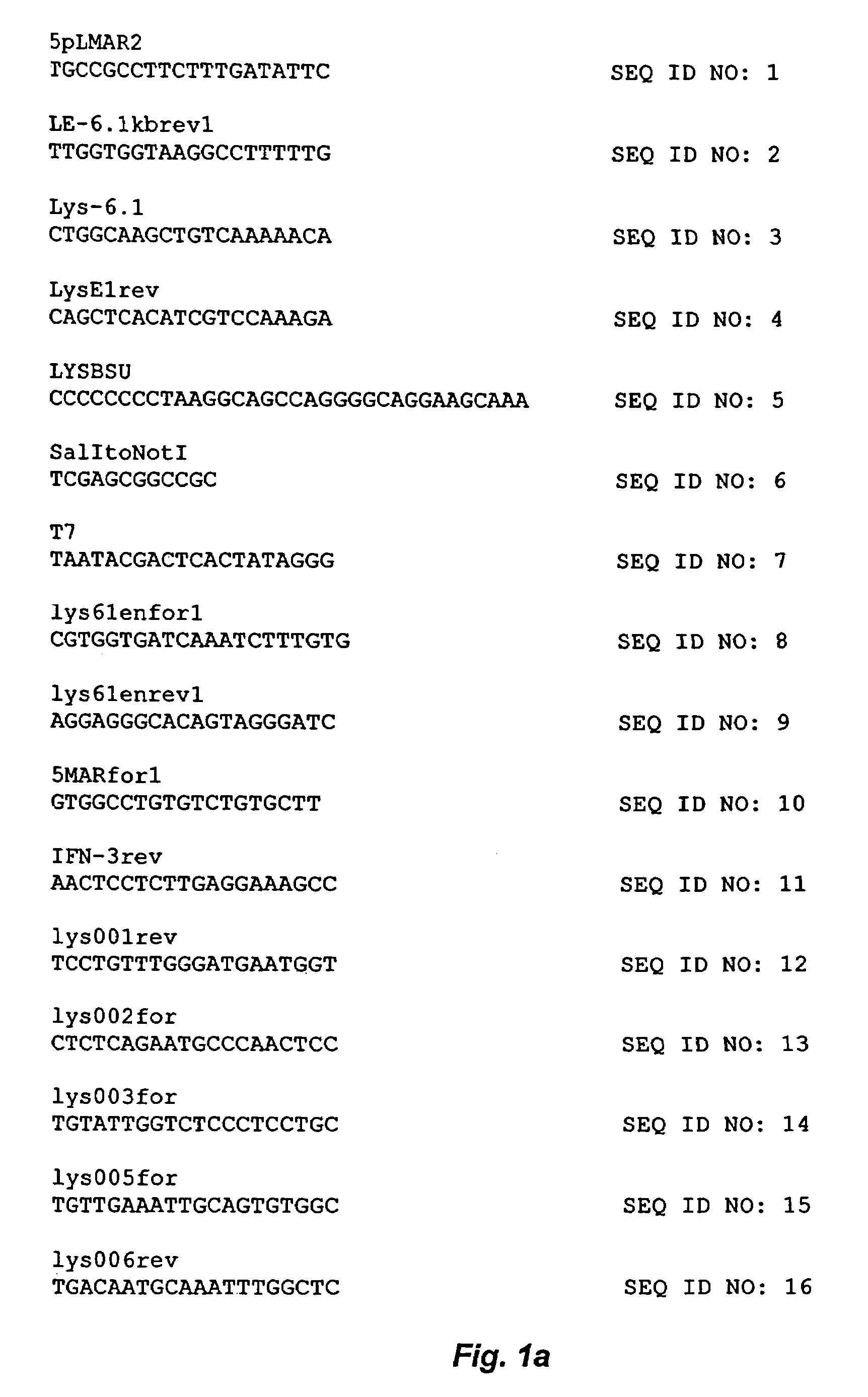 Avians containing a lysozyme promoter transgene